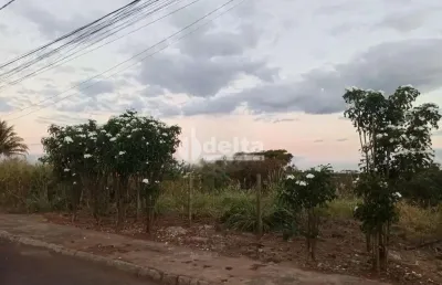 Terreno disponível para venda 432 m² no bairro cidade jardim em uberlândia-mg