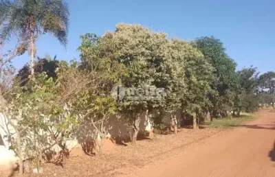 Chácara residencial disponível para venda no bairro área rural em uberlândia-mg