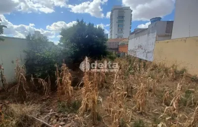 Terreno disponível para venda no bairro vigilato pereira em uberlândia-mg