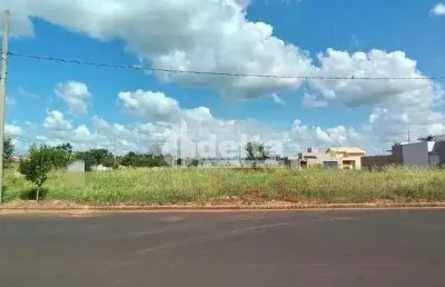Terreno disponível para venda 300 m² no bairro novo mundo em uberlândia-mg