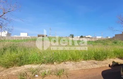 Terreno disponível para venda 330 m² no bairro novo mundo em uberlândia-mg
