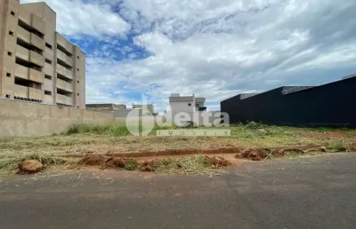 Terreno disponível para venda 300 m² no bairro novo mundo em uberlândia-mg