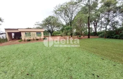Chácara disponível para venda na zona rural de uberlândia em uberlândia-mg