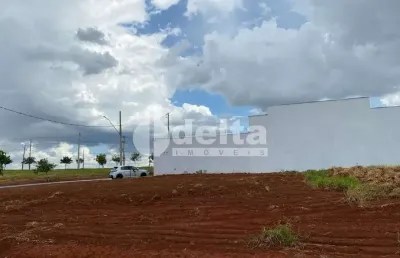 Terreno disponível para venda 253 m² no bairro portal do vale nascente em uberlândia-mg