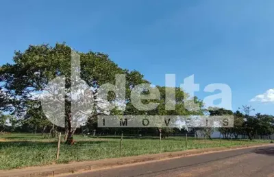 Terreno disponível para venda no bairro jardim karaíba em uberlândia-mg