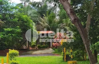 Chácara residencial disponível para venda no bairro minas gerais em uberlândia-mg