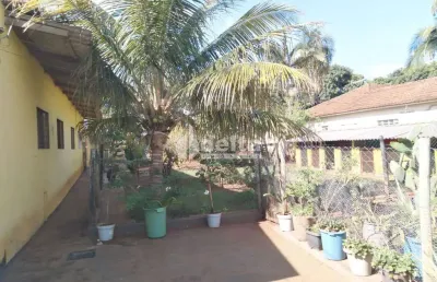 Casa residencial disponível para venda no bairro presidente roosevelt em uberlândia-mg