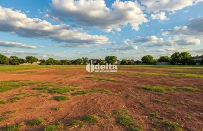 Terreno disponível para venda 700 m² no bairro jardim das palmeiras  em uberlândia-mg