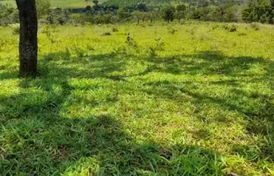 Chácara disponível para venda na área rural de uberlândia-mg