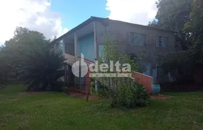 Chácara / sítio com 3 quartos à venda no Shopping Park, Uberlândia 