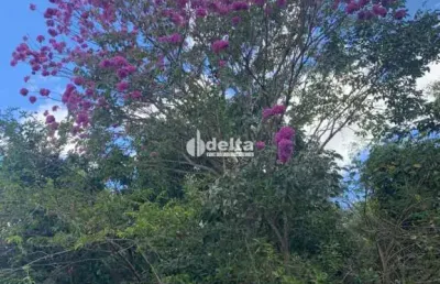 Chácara disponível para venda na região rural em uberlândia-mg