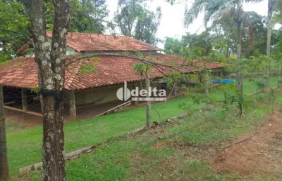 Chácara disponível para venda no bairro recreio lago azul em uberlândia-mg