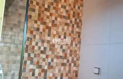 Chácara disponível para venda na zona rural de uberlândia em uberlândia-mg