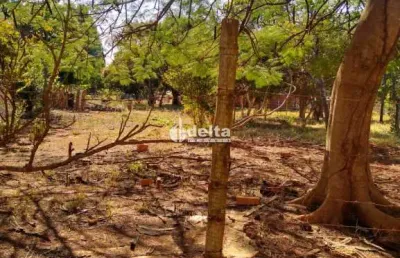 Chácara disponível para venda no bairro morada dos pássaros em uberlândia-mg