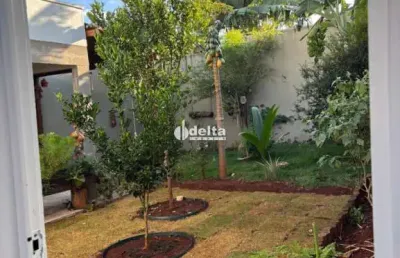 Apartamento disponível para venda no bairro vigilato pereira em uberlândia-mg