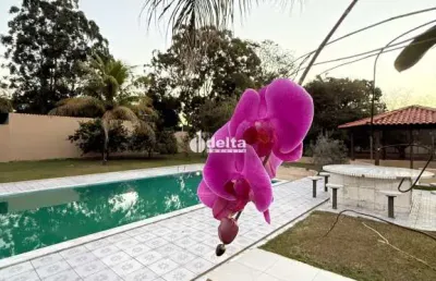 Casa com 10 quartos à venda no Mansões Aeroporto, Uberlândia 