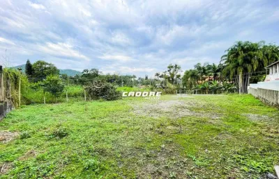 Terreno para locação no bairro vila formosa i cadore imóveis