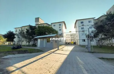 Apartamento com 2 quartos para alugar no Ponta Aguda, Blumenau 