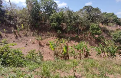 Lote para venda em ribeirão das neves, bairro rosaneves