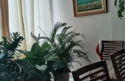 Apartamento com 3 quartos à venda na Rua dos Pintassilgos, 345, Imbuí, Salvador
