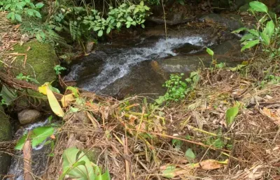 Chácara / sítio à venda na Zona Rural, Rio dos Cedros 