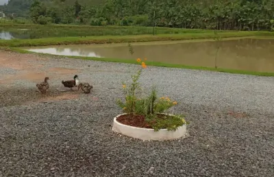 Chácara / sítio com 4 quartos para alugar na Avenida Sete de Setembro, Tiroleses, Timbó