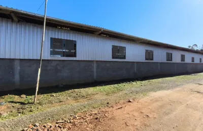 Barracão / Galpão / Depósito com 6 salas à venda na Rua Sant'Ana, Arapongas, Indaial