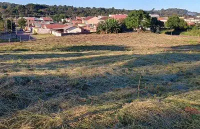 Loteamento de terrenos em araucaria bairro costeira proximo rotatoria maranhão