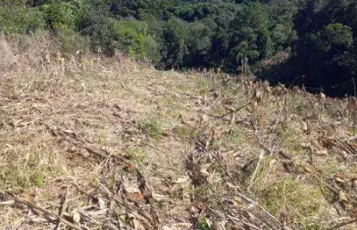 Chácara / sítio com 3 quartos à venda na Zona Rural, Contenda 