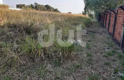 Terreno comercial para alugar na antonio olímpio de morais, 262, betel, paulínia por r$ 4.000
