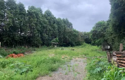 Terreno comercial para alugar na rua atanázio soares, 3600, jardim maria eugênia, sorocaba por r$ 5.000