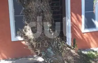 Chácara / sítio com 3 quartos à venda na rua antônio negrello, 1, apaga fogo, valinhos, 156 m2 por r$ 1.800.000