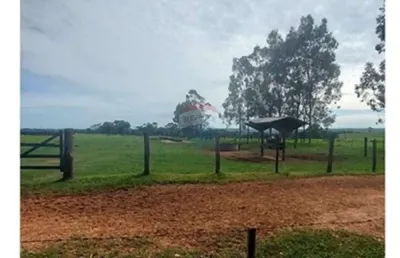 Fazenda com 131 alqueires à venda na região de araçatuba/sp - pecuária