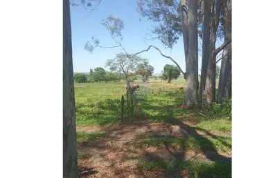 Fazenda de 159 alqueires à venda na região de valentim gentil/sp - cana