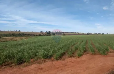Fazenda com 94 alqueires à venda na região de pereira barreto/sp - cana