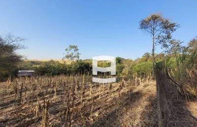 Chácara à venda, 3000 m² por r$ 300.000,00 - chácara mate amargo - apucarana/pr