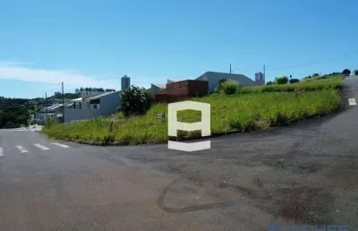 Terreno à venda, 305 m² por r$ 79.900,00 - jardim licce - apucarana/pr