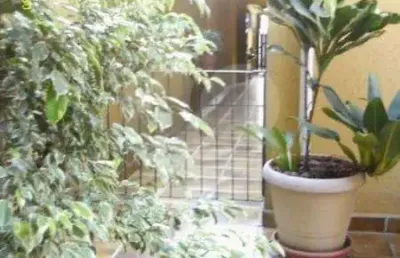 Casa com 4 quartos à venda na rua júlio rebollo perez, 323, jardim peri peri, são paulo, 300 m2 por r$ 1.600.000
