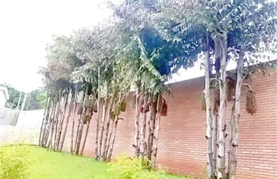 Terreno à venda na estrada do corisco, 4929, jardim uniserve, são paulo, 1500 m2 por r$ 6.500.000