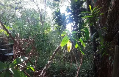 Terreno à venda na rua capitão luís rodrigues de albuquerque, 98, vila irmãos arnoni, são paulo, 572 m2 por r$ 1.200.000