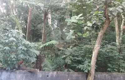 Terreno à venda na rua coronel agostinho da fonseca, 1, tucuruvi, são paulo, 5951 m2 por r$ 1.200.000