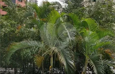 Apartamento com 4 quartos à venda na rua voluntários da pátria, 3812, santana, são paulo, 195 m2 por r$ 1.499.000
