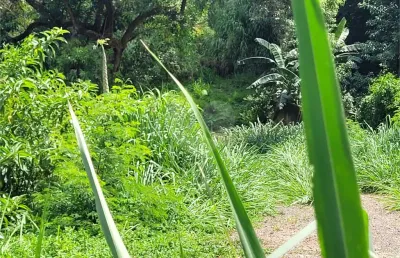 Terreno à venda na rua mateus leme, 214, água fria, são paulo, 4500 m2 por r$ 9.000.000