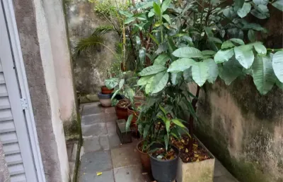 Casa com 3 quartos à venda na rua pais de andrade, 454, aclimação, são paulo, 100 m2 por r$ 850.000