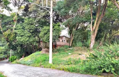 Terreno à venda na rua bananeira da bandeira, 1, tucuruvi, são paulo, 446 m2 por r$ 550.000