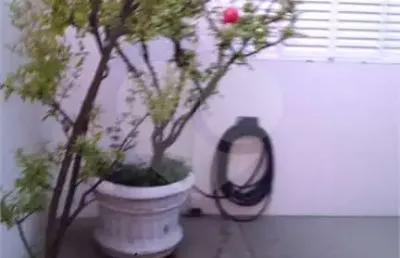 Casa com 3 quartos para alugar na rua dom pedro ii, 2076, vila monteiro (gleba i), são carlos, 300 m2 por r$ 6.600