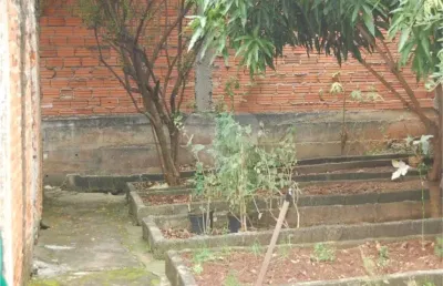 Terreno à venda na rua zilda, 900, casa verde, são paulo, 850 m2 por r$ 3.750.000