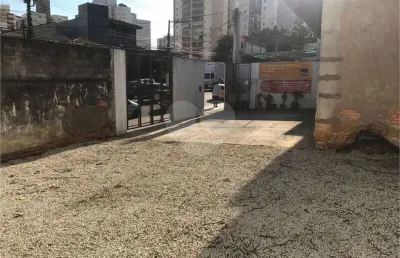 Terreno comercial para alugar na avenida santa catarina, 1175, vila mascote, são paulo, 600 m2 por r$ 30.000