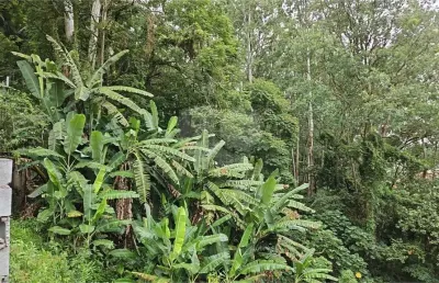 Terreno à venda na avenida nova cantareira, 1, tucuruvi, são paulo, 3351 m2 por r$ 2.190.000