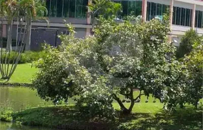 Casa em condomínio fechado com 3 quartos à venda na rua bahia, 540, arujázinho i, ii e iii, arujá, 500 m2 por r$ 2.660.000